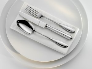 WMF Besteckmodell Premiere